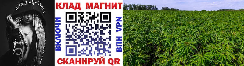Купить закладку Бошки Шишки  Мефедрон  Гашиш  Лениногорск