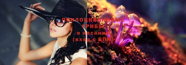 амф Горнозаводск