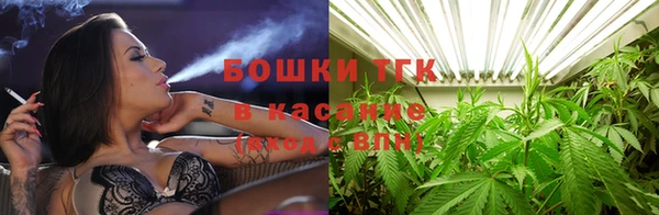 дурь Горно-Алтайск