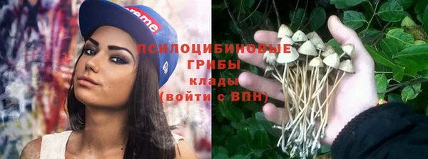 дурь Горно-Алтайск